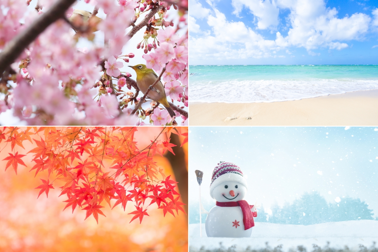 enjoy-seasons